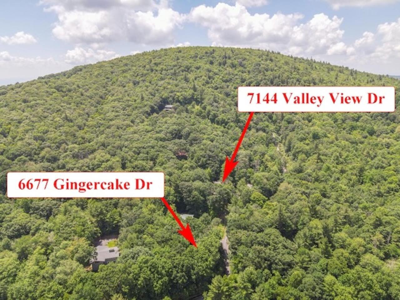 Gingercake Mtn Cottage At Linville Gorge - Wood Burning Fireplace Linville Falls Eksteriør bilde